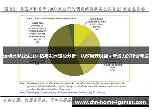 运动员职业生涯评估与发展路径分析：从数据表现到未来潜力的综合考量